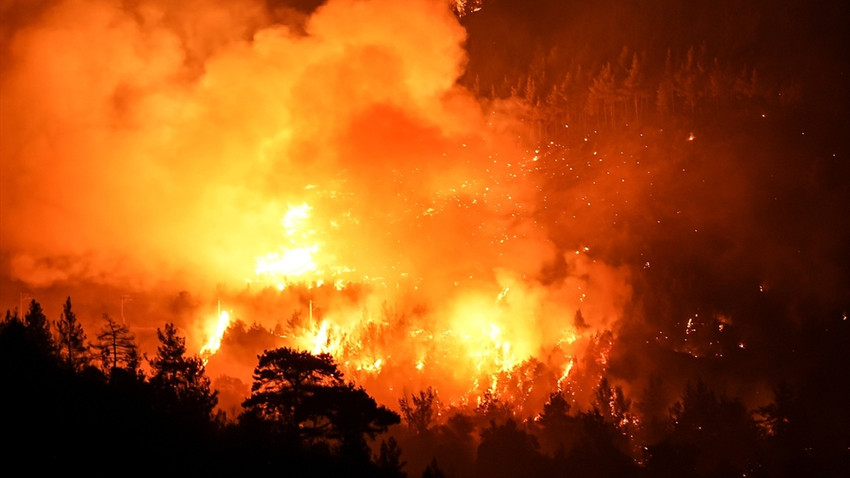 Bursa-Balıkesir sınırında orman yangını: İki kişi gözaltına alındı