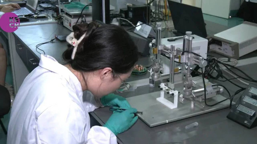 Çin, arılara çip yerleştirip beyinlerini kontrol etmeye başladı