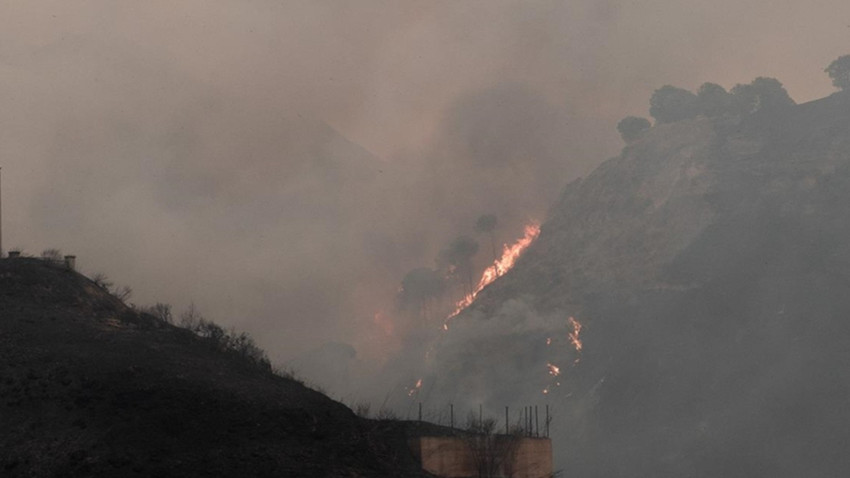 İtalya'nın Sardinya Adası'nda 20 farklı noktada orman yangını çıktı