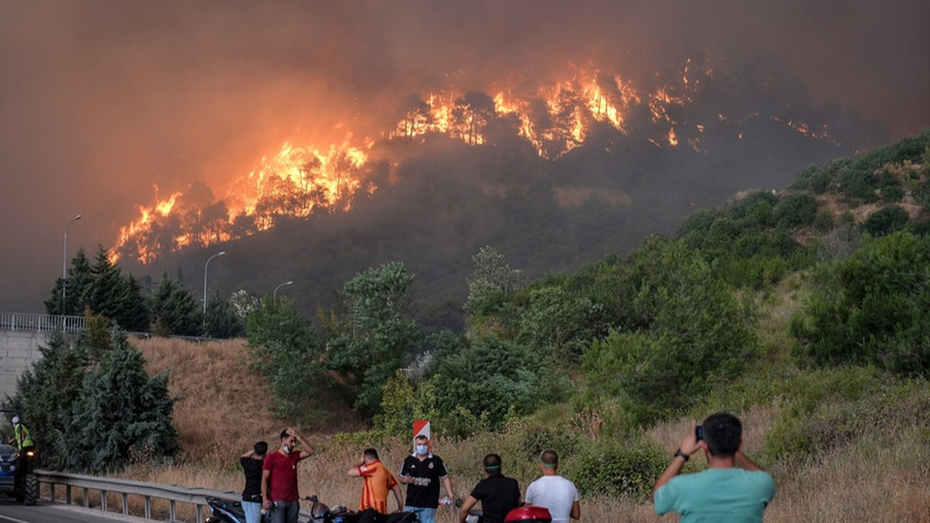 Bilecik'teki orman yangını rüzgarın etkisiyle yeniden büyüdü