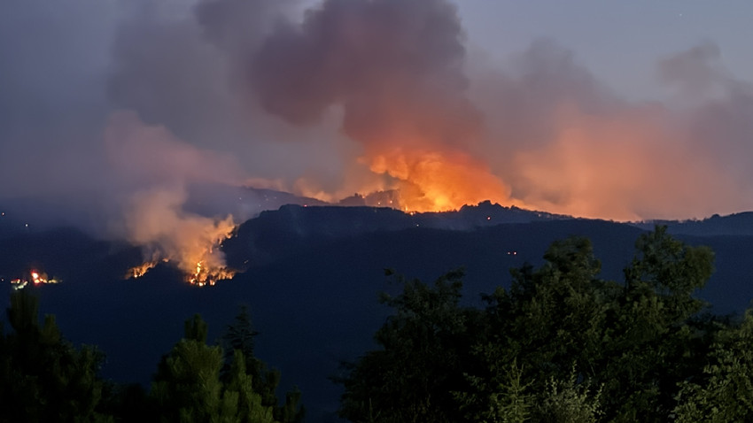 İşçi eğitimsiz, amir tecrübesiz, planlama yetersiz: 10 orman kahramanını neden kaybettik?