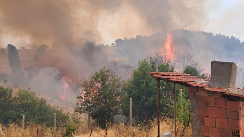 Bursa'da yanan ormanlık alanın maden sahası ilan edilmesi için "ÇED gerekli değildir" raporu alınmış