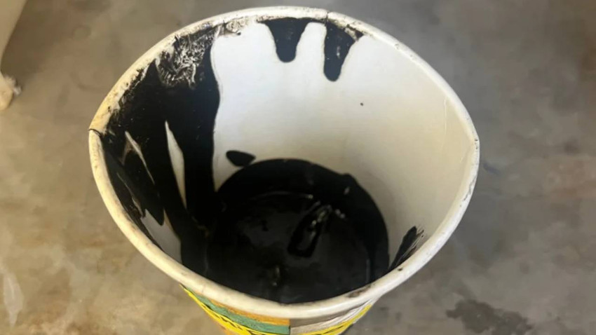 Bilim dünyasında kriz çıkaran kare: Siyah madde 'yaşayan bir organizma' olabilir