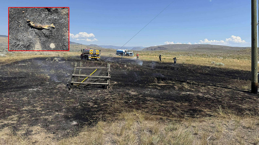 Fotoğraf: New York Times