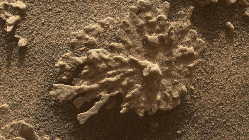 Curiosity, fotoğrafları gönderdi: Mars'ta hayvan fosili bulunmuş olabilir