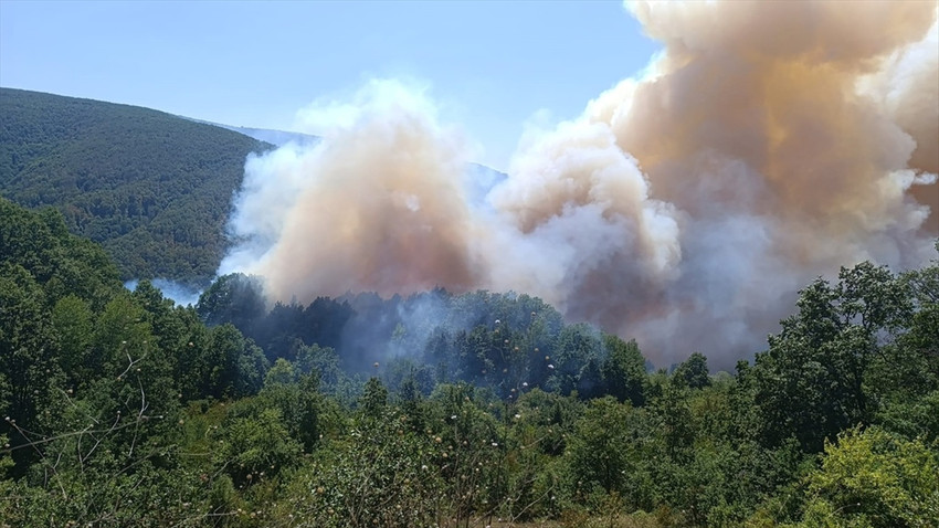 Üç mahalle tahliye edildi: Kocaeli'de alevlerle mücadele sürüyor