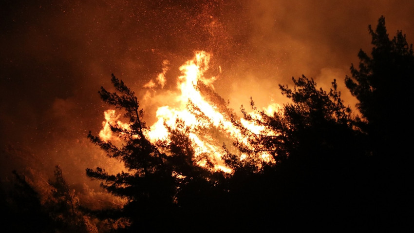 Hatay Yayladağı'nda orman yangını