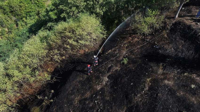 Orman yangınlarından etkilenen alanlarda avlanmak yasaklandı