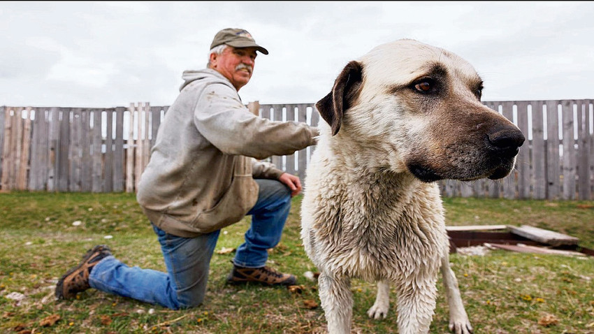 Fotoğraf: John Stember/NYT