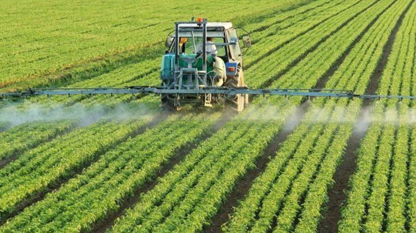 Tarımda "bitki reçetesi" dönemi başlıyor: Gizli zehir pestisitlere ilaç muamelesi yapılacak
