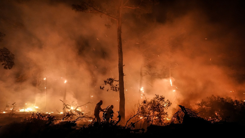 Çanakkale Gelibolu'da orman yangını: 126 kişi tahliye edildi
