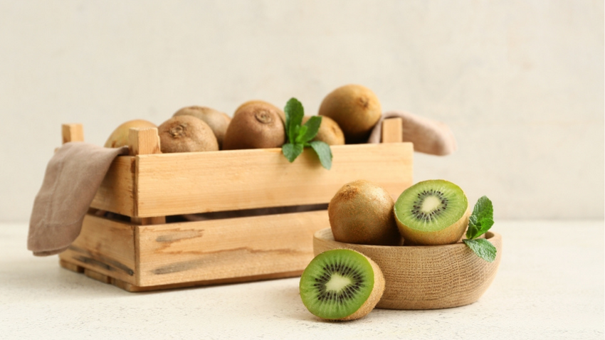 Kivinin sindirime faydası resmen tescillendi