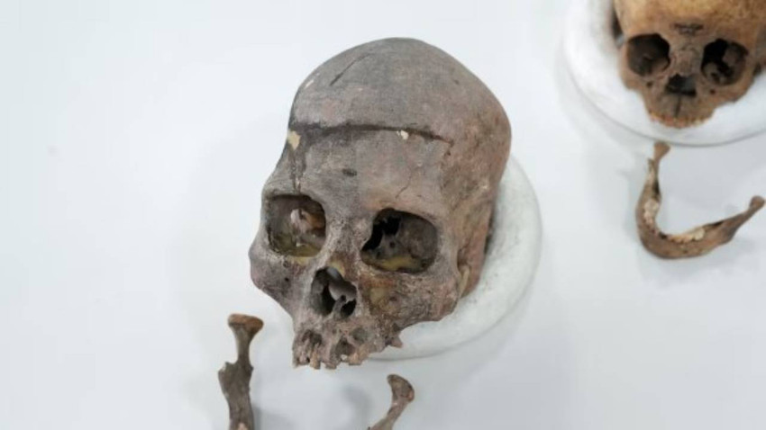 Kolombiya’da yeni bir insan türü keşfedildi: Checua