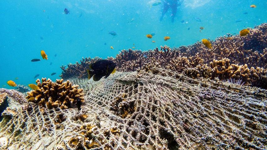 Sürdürülebilir balık alma rehberi