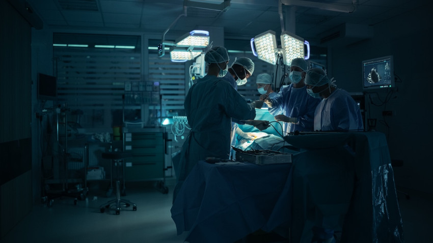 Fotoğraf: Shutterstock