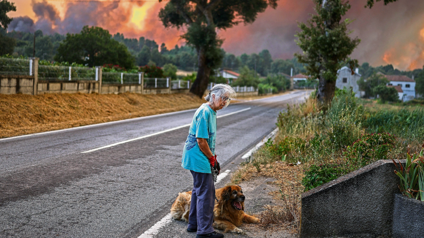 Bu yaz Portekiz’de yanan ormanlık alanların yüzölçümü, geçen yıl tüm Avrupa’daki orman yangınlarından büyük. (Fotoğraf: Getty Images)