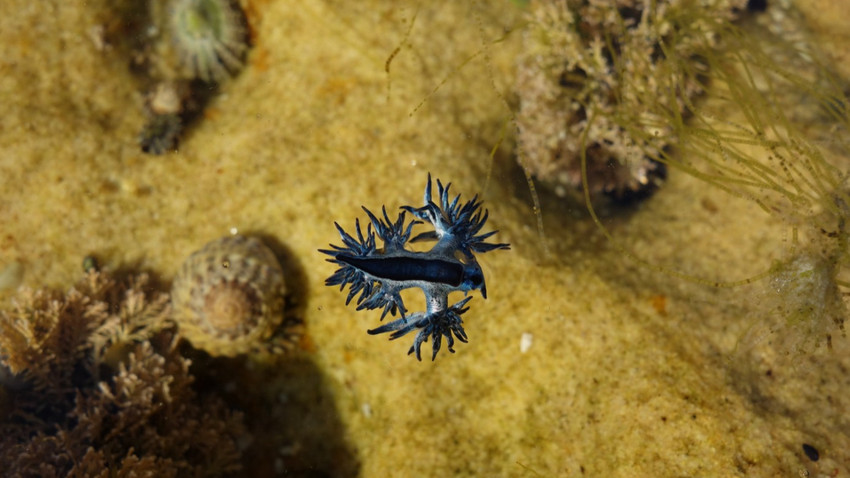 Fotoğraf: ShutterStock