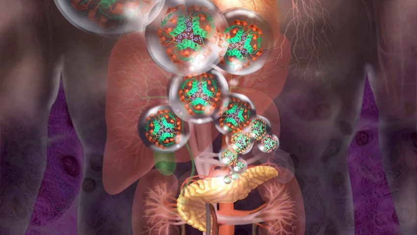 Fotoğraf: Jim Dowdalls/Science Source