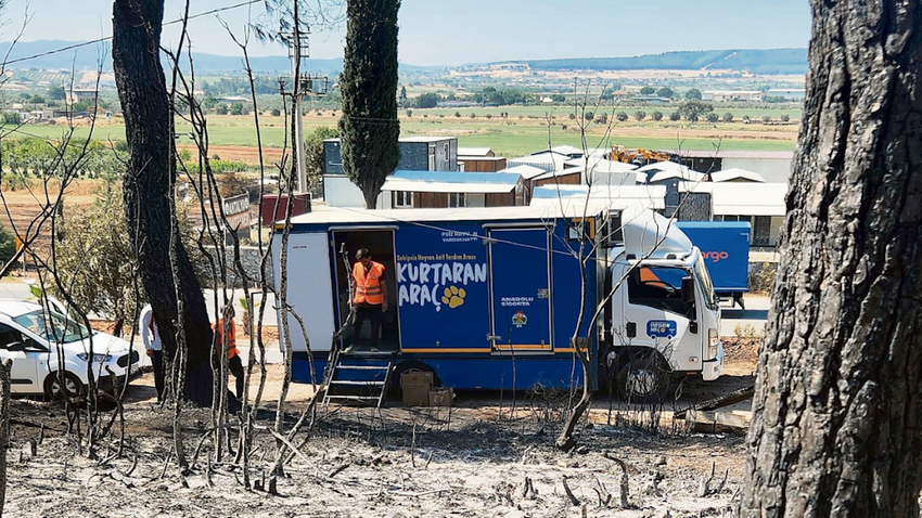 Berna Semiz Ergüntan: "Hayvanların yaşam hakkına saygıda toplumsal bilinç yaratmak için elimizi taşın altına koymalıyız."