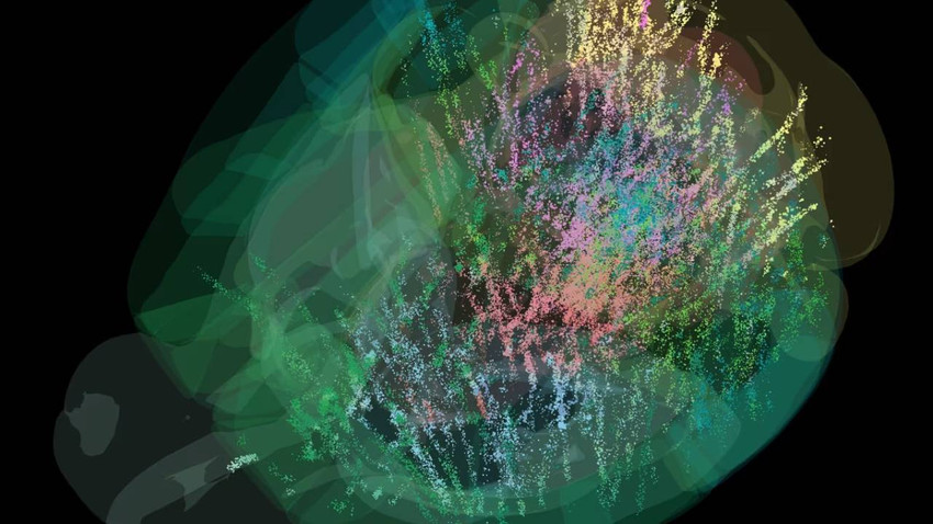 CNN International: Beynin karar alırken nasıl çalıştığı ortaya çıktı