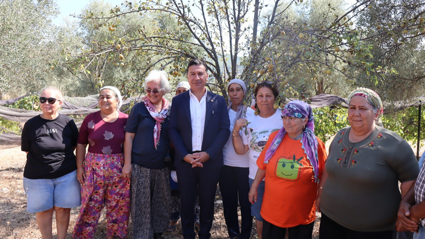 Muğla Büyükşehir Belediye Başkanı Aras’tan Akbelen açıklaması: Bu şirketlerin önünü açanlardan hesap sorulmalı