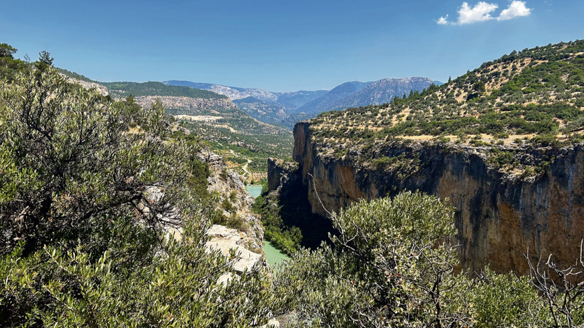 Anadolu toprakları başta Ege bölgesi olmak üzere köklü bir zeytincilik geleneğine sahip. 41 ilde zeytin üretimi yapılıyor. (Fotoğraf: Itri Levent Erkol)