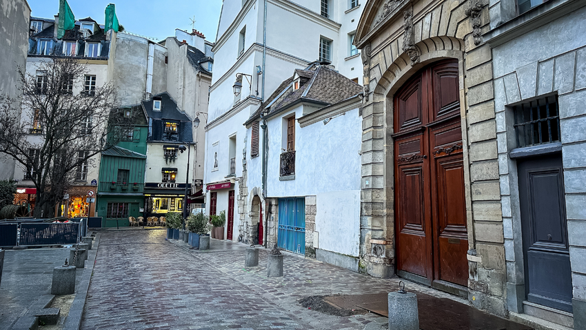 Dünyanın büyük şehirlerinde %400'lük artış: 'Farelerin istilası'nın nedeni ne?