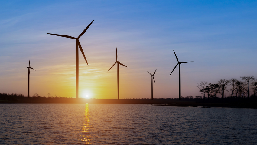 Fotoğraf: Shutterstock