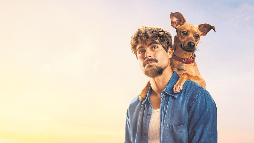 Bir köpeğin şefkati ile iyileşmek