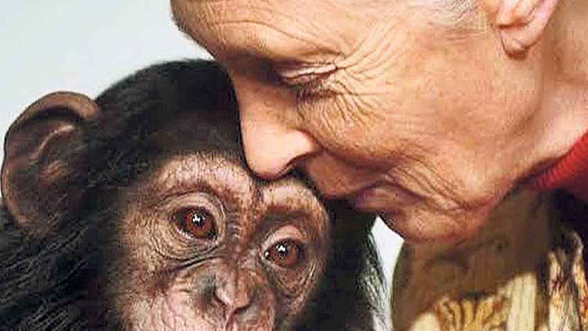 Jane Goodall’un son sözleri