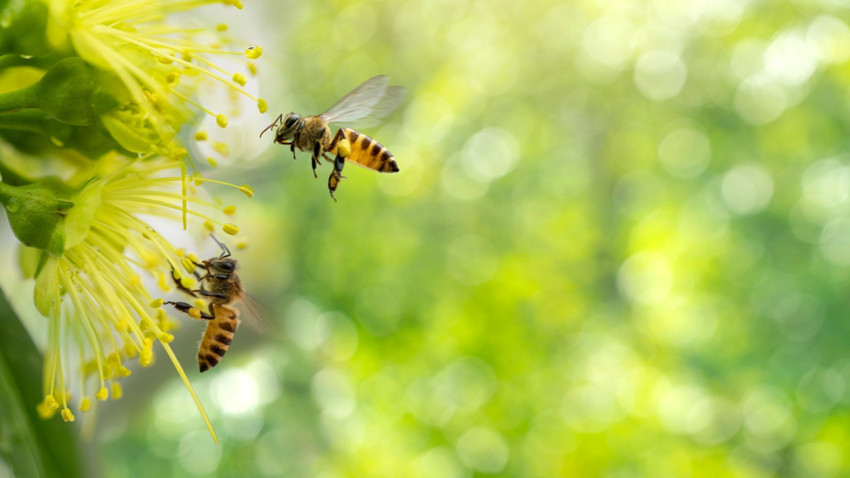 Fotoğraf: ShutterStock