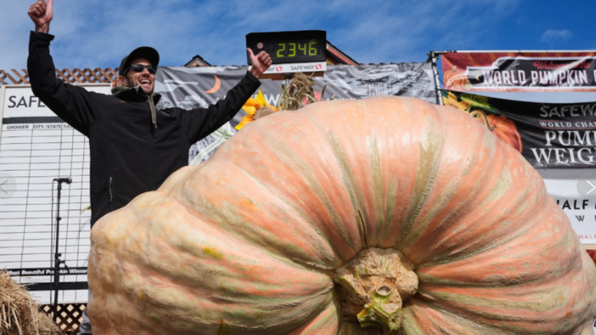 Silikon Vadisi’nden tarlaya: Kaliforniyalı mühendis, arabadan ağır balkabağı ile dünya şampiyonu oldu