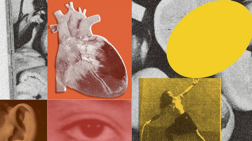 İllüstrasyon: Lucy Jones/ The New York Times