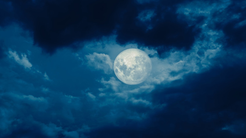 Fotoğraf: Shutterstock