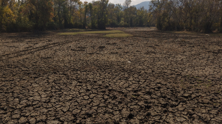 Türkiye'nin en büyük üçüncü langozu kurudu: 270'ten fazla kuş türü tehdit altında