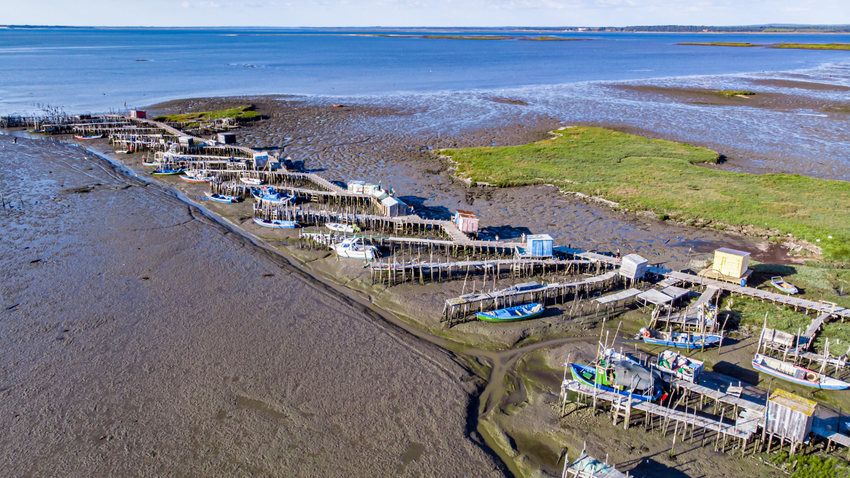 Fotoğraf: Shutterstock