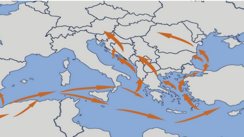 Avrupa’da tedbirler artınca Türkiye kokaine koridor oldu