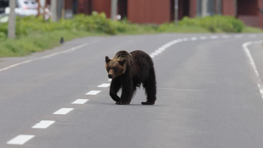 Fotoğraf: ShutterStock