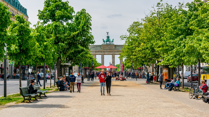 Berlin'e yarım milyon ağaç daha dikilecek