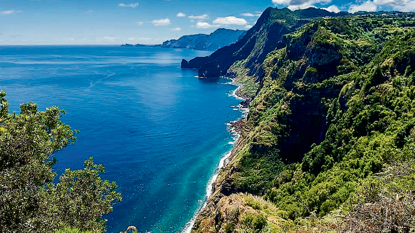 Madeira, okyanusa dik inen volkanik, yemyeşil falezlerden oluşuyor.