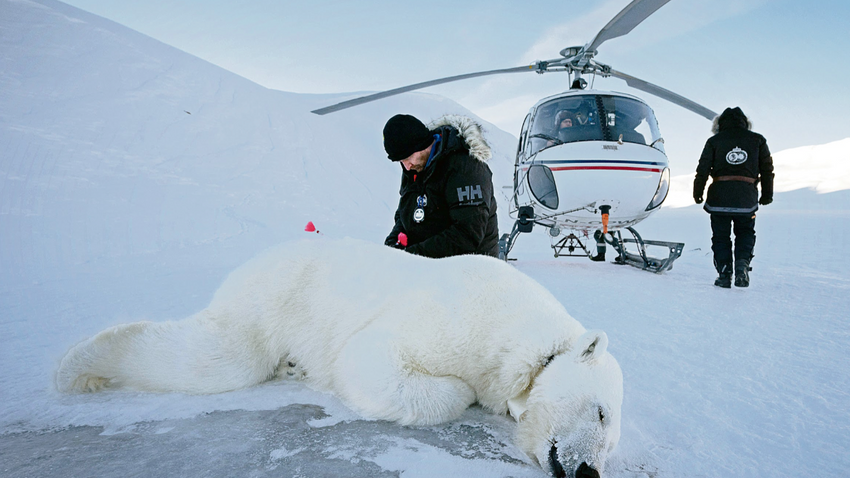 Dünya 2 derece ısınırsa canlı türlerinin yüzde 14’ünün yok olma riski çok yüksek. (Fotoğraf: Getty Images)