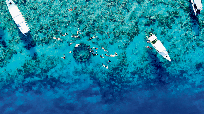 Gili Trawangan’da ziyaretçiler gün içinde gelgitin en uygun olduğu plajları keşfetmeye ve belirli noktalarda yoğunlaşan deniz altı canlılarını seyretmeye gidiyor.