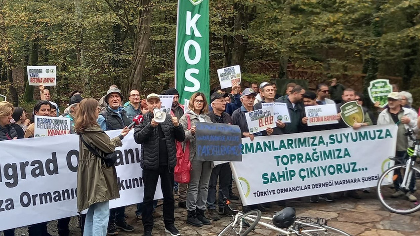 Doğa savunucuları Belgrad Ormanı için yürüdü: 1 milyon hektar alan kullanıma açıldı, ormana dönmesi mümkün değil
