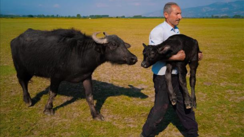 Huawei'in fotoğraf yarışmasında Türk fotoğrafçı dünya ikincisi oldu