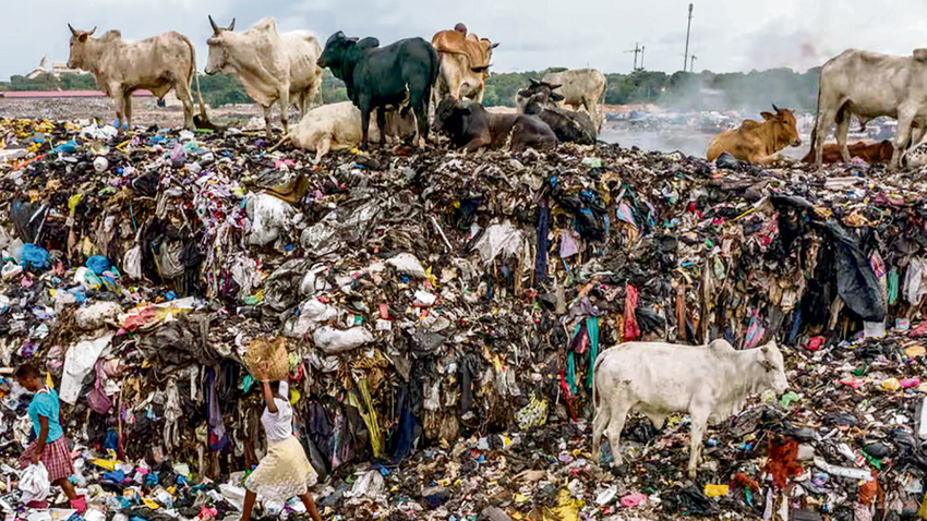 Doğal yaşam hızlı modanın tehdidi altında. TIME Dergisi’nin haberine göre İngiltere’den Gana’ya gönderilen tekstil ürünleri Delsu Deltası’nda yaşam alanlarını yok ediyor.