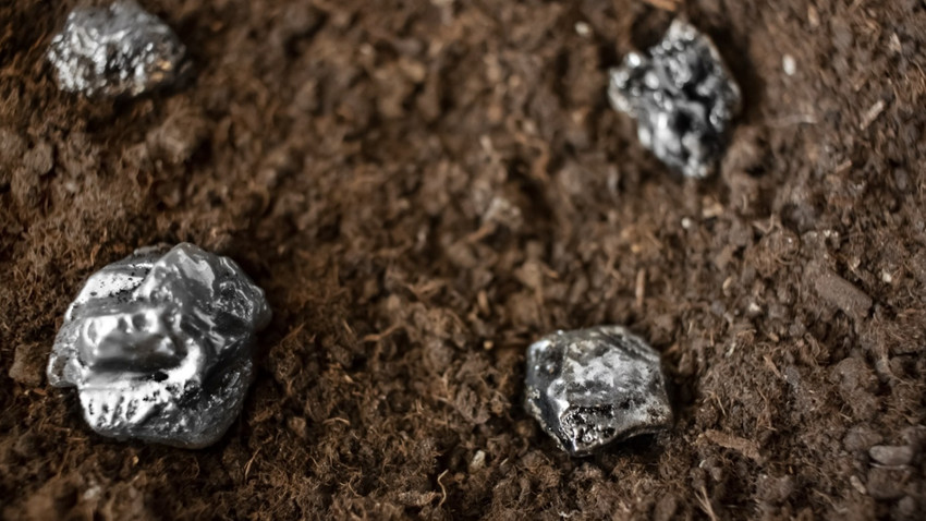 Fotoğraf: ShutterStock