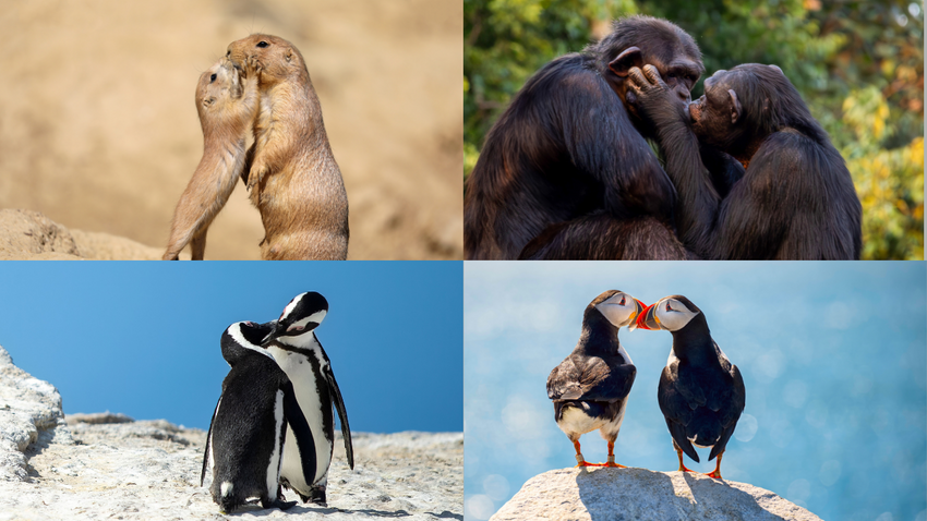 Fotoğraf: Shutterstock