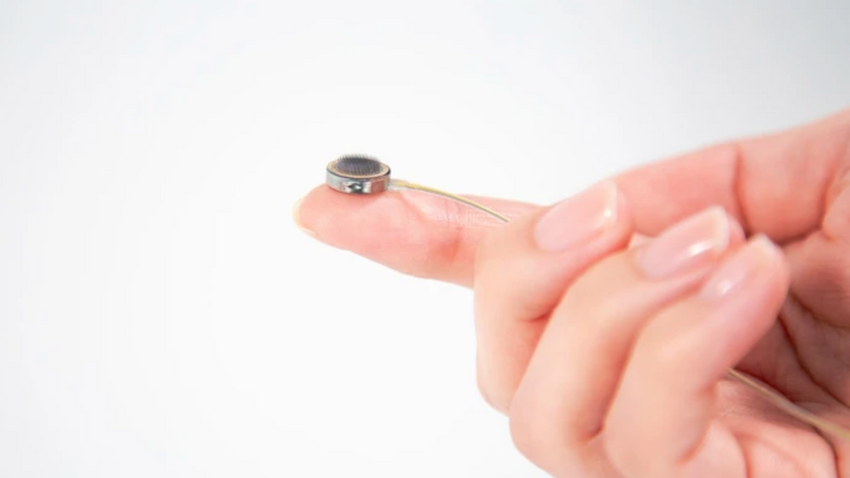 Fotoğraf: Paradromics