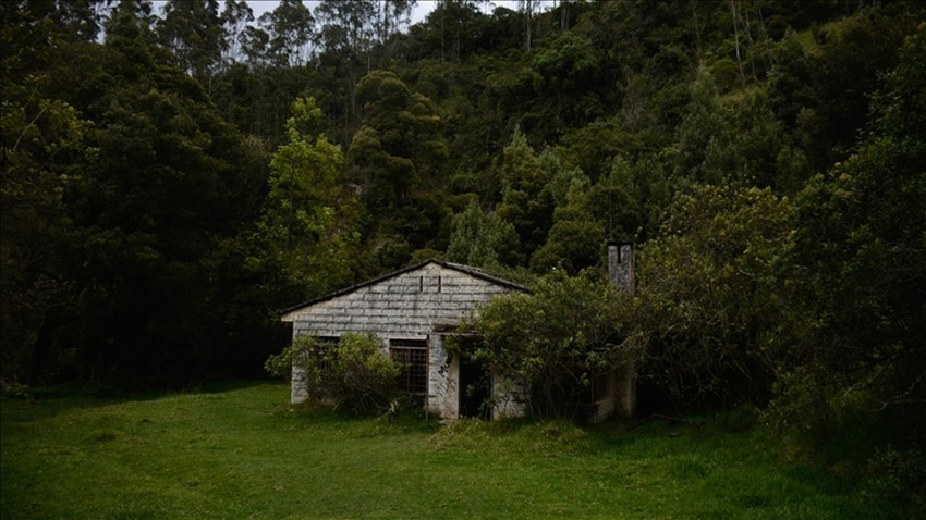 Japonya’da terk edilmiş evler yapay zeka ile bulunuyor, neredeyse bedavaya satılıyor
