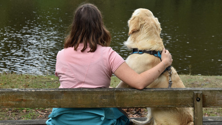 Araştırma: İnsanlar ve golden retrieverlar davranış biçimleri açısından ortak genetik köklere sahip